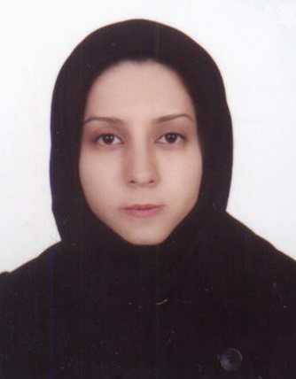 مهندس محمدی
